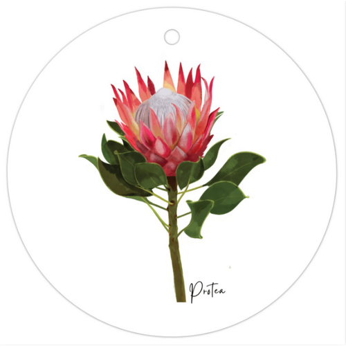 AGCTA1004: Protea Flower Gift Tag