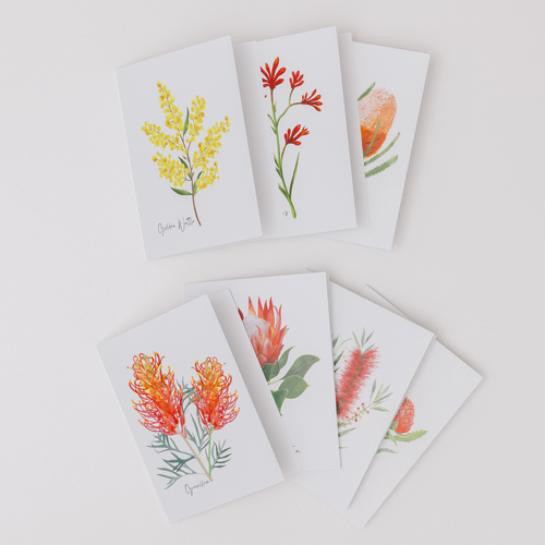 AGCAP1007: (48 pcs) Starter Pack Cards