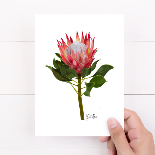 AGCC1004: Protea Flower Card