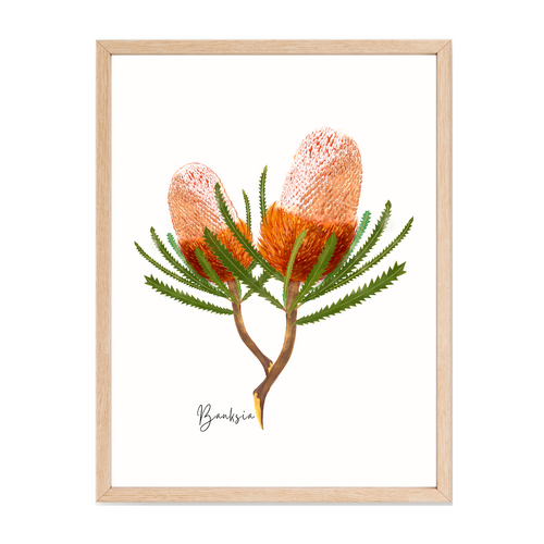AGCP1005: Banksia Flower Poster