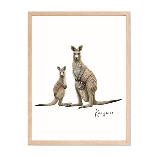 AGCP1009: Kangaroo Poster