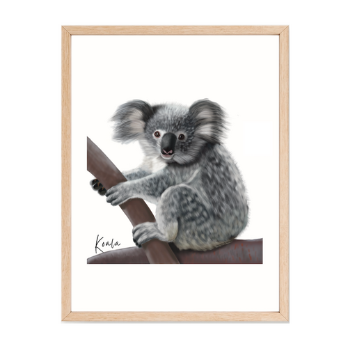 AGCP1010: Koala Poster