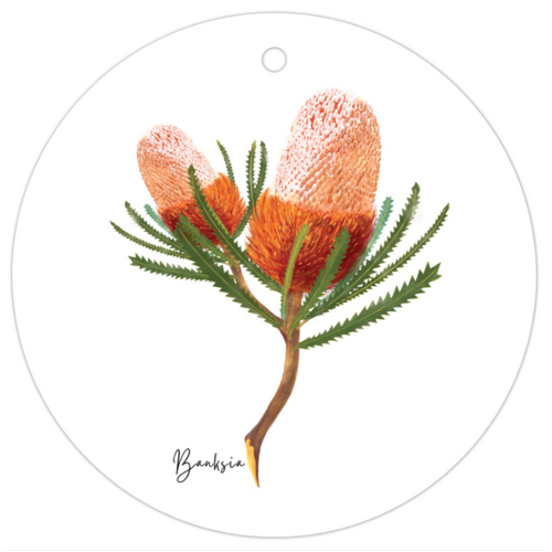 AGCTA1005: Banksia Flower Gift Tag