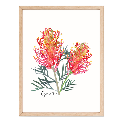 AGCP1000: Grevillea Flower Poster
