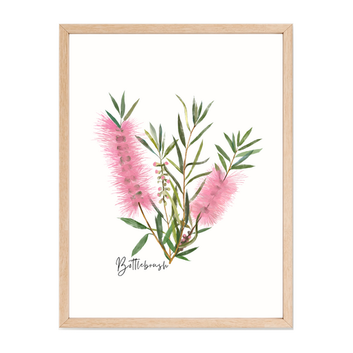 AGCP1002: Pink: Bottlebrush Flower Poster