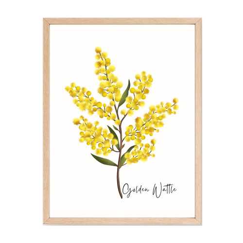 AGCP1007: Wattle Flower Poster