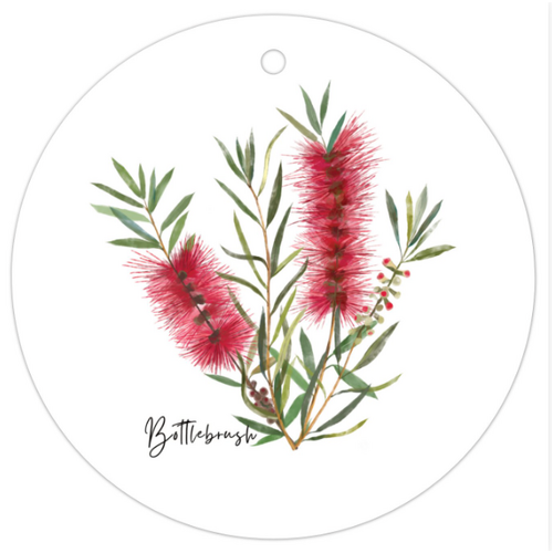 Bottlebrush  Foxytrot